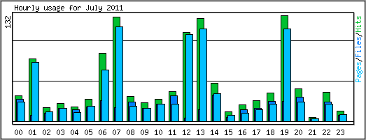 Hourly usage