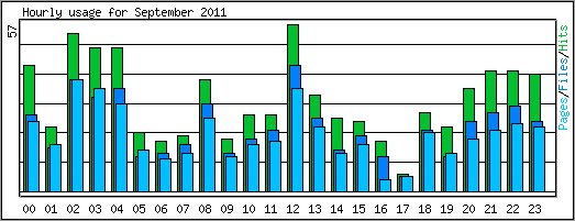 Hourly usage