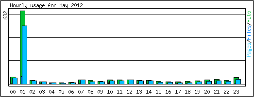 Hourly usage