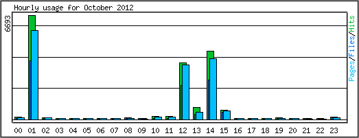 Hourly usage
