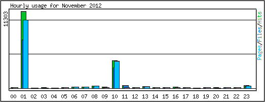 Hourly usage