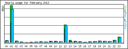Hourly usage