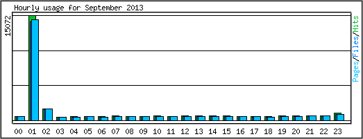 Hourly usage