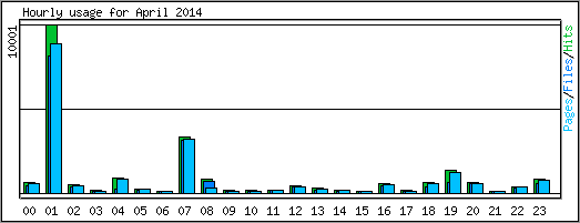 Hourly usage