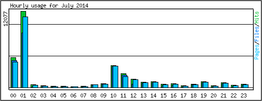 Hourly usage