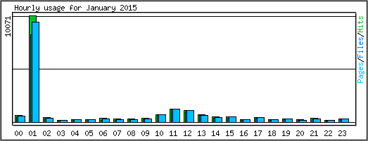 Hourly usage