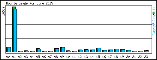 Hourly usage