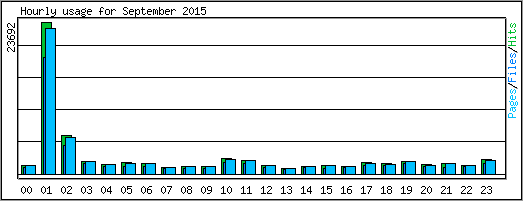Hourly usage