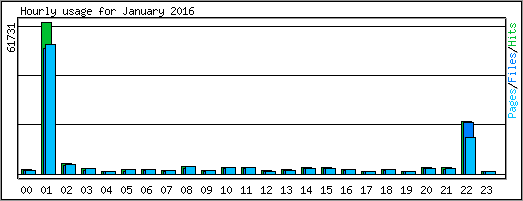 Hourly usage
