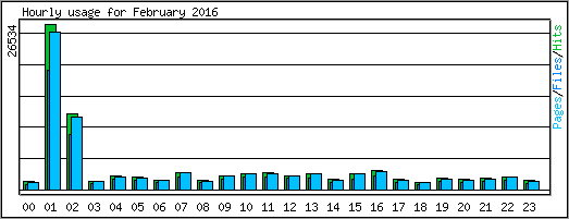 Hourly usage