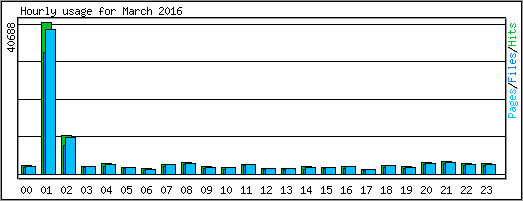 Hourly usage