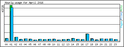 Hourly usage