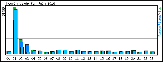 Hourly usage