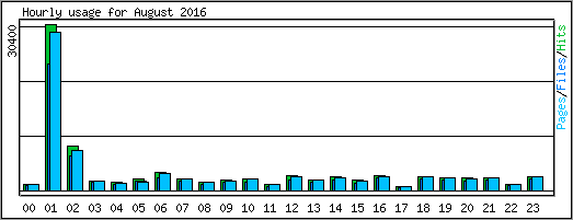 Hourly usage