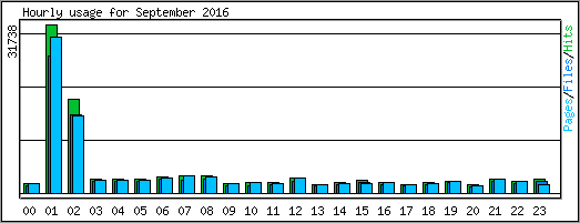 Hourly usage