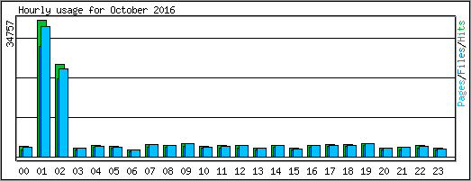 Hourly usage