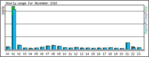 Hourly usage