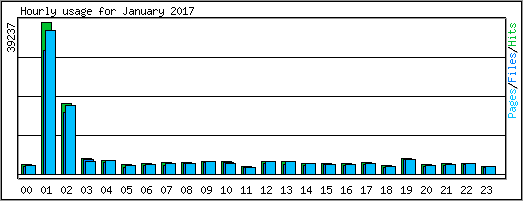 Hourly usage