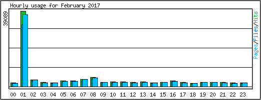 Hourly usage