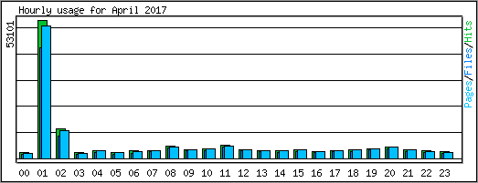 Hourly usage