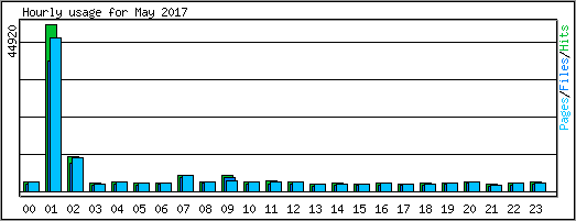 Hourly usage