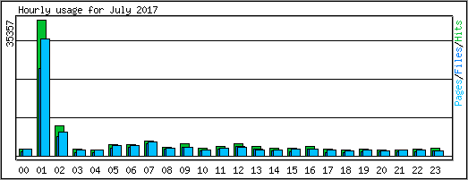 Hourly usage