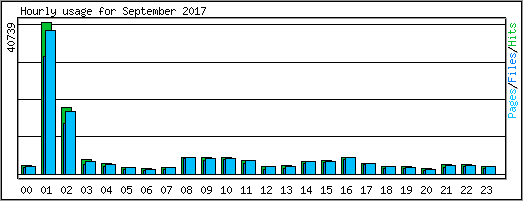 Hourly usage